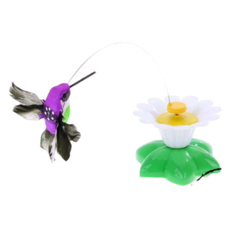 اسباب بازی گربه چرخش پرنده در اطراف گل