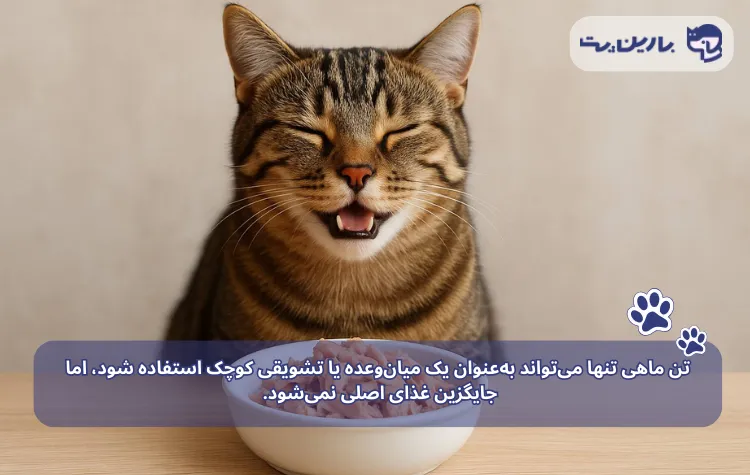 مصرف محدود تن ماهی برای گربه