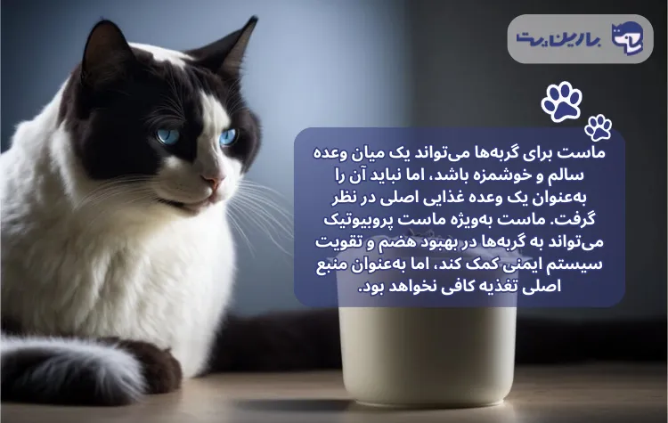 تصویری همراه با متن که در آن گربه به ظرف ماست خیره شده است در مقاله ماست برای گربه