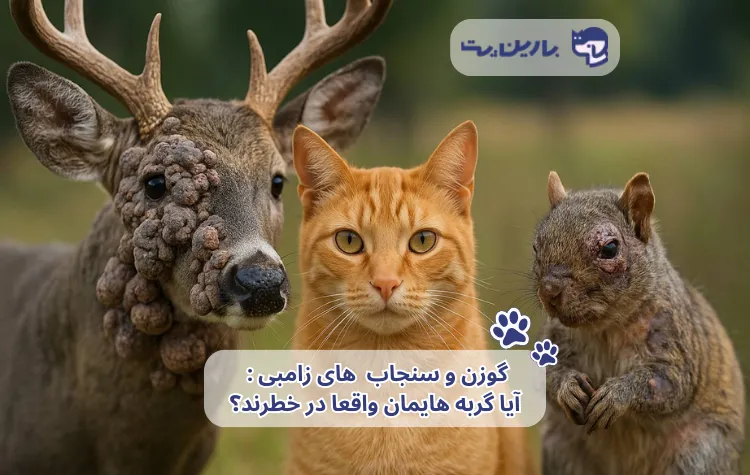 تصویر ترکیبی از گوزن زامبی، سنجاب زامبی و یک گربه خانگی سالم