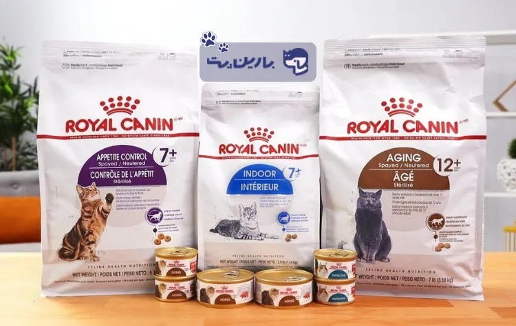 غذای خشک گربه و کنسرو گربه رویال کنین
